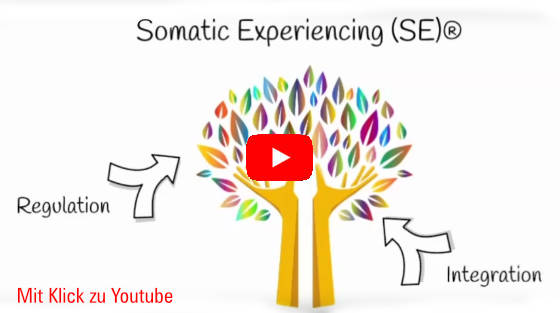 SE